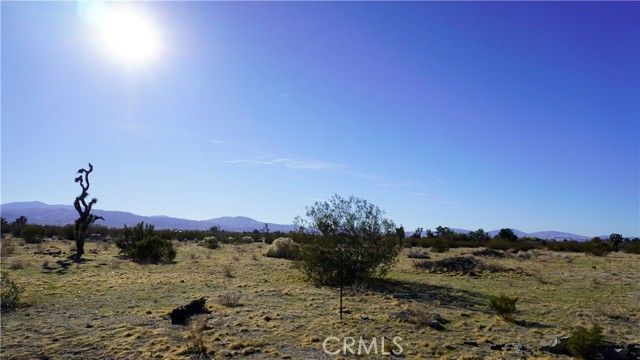 0 118th, Sun Village, CA 93543