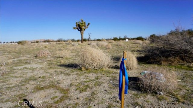 0 118th, Sun Village, CA 93543