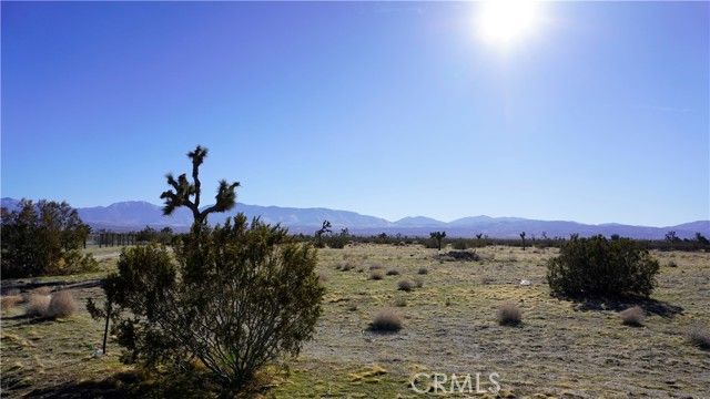 0 118th, Sun Village, CA 93543