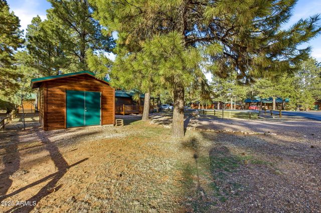 2677 PALOMINO Trail, Overgaard, AZ 85933