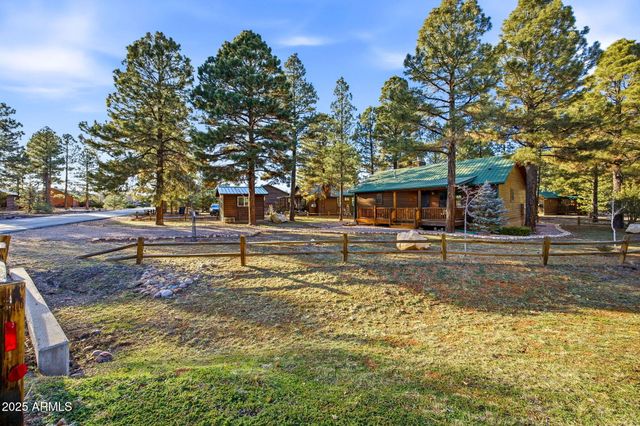 2677 PALOMINO Trail, Overgaard, AZ 85933