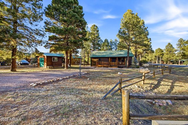 2677 PALOMINO Trail, Overgaard, AZ 85933