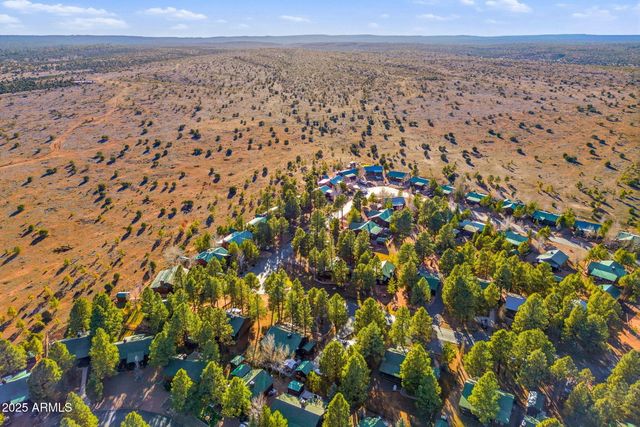 2677 PALOMINO Trail, Overgaard, AZ 85933