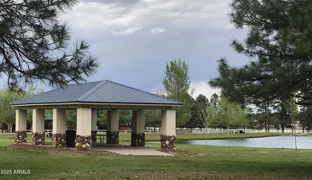 2677 PALOMINO Trail, Overgaard, AZ 85933