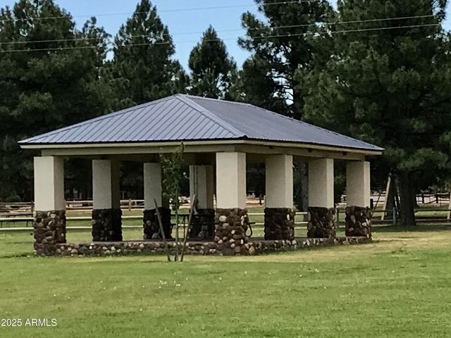 2677 PALOMINO Trail, Overgaard, AZ 85933