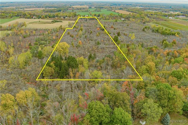 5028 Lower Mountain Road, Cambria, NY 14094