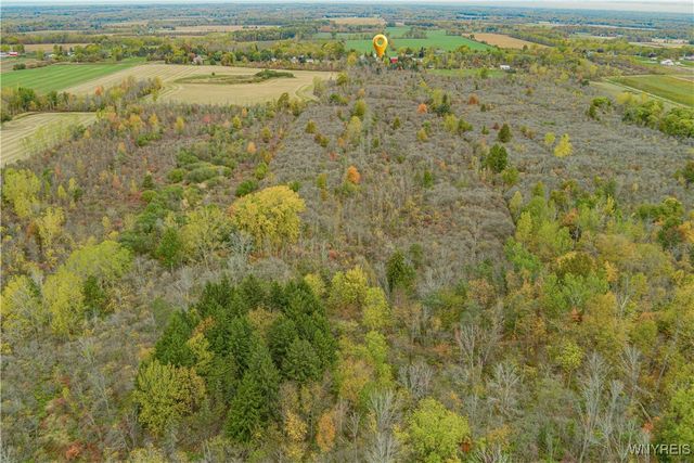 5028 Lower Mountain Road, Cambria, NY 14094