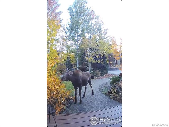 520 Night Chant Lane, Frisco, CO 80443