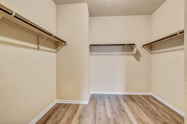 504 Sabina DR, Cedar Park, TX 78613