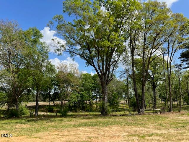 826 Olive Branch Drive, Smithfield, NC 27577