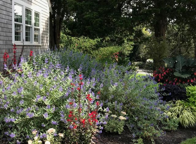 80 Briar Spring Road, Orleans, MA 02653