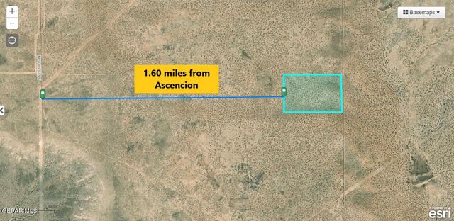 60 Acres TBD 78 TSP 4 SEC 29 T & P, El Paso, TX 79928