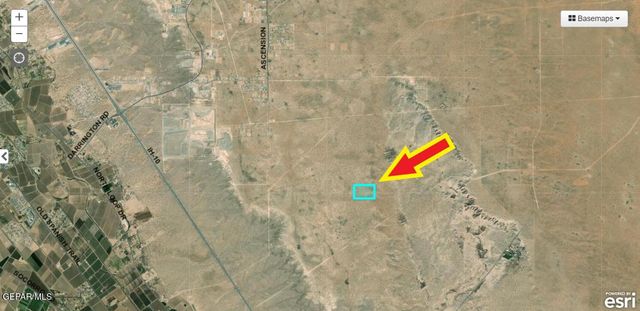 60 Acres TBD 78 TSP 4 SEC 29 T & P, El Paso, TX 79928