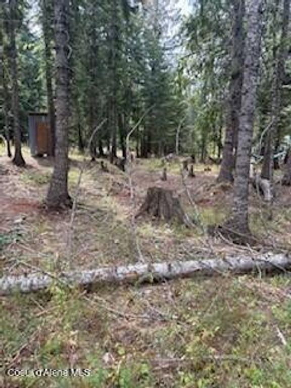 Lots 35 & 36 Dolly Vardon, Bayview, ID 83803 photo 10