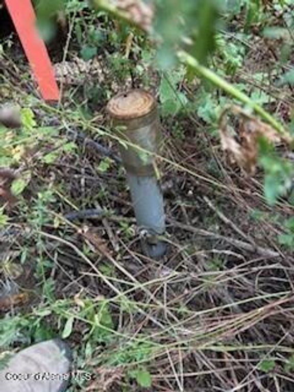 Lots 35 & 36 Dolly Vardon, Bayview, ID 83803 photo 4