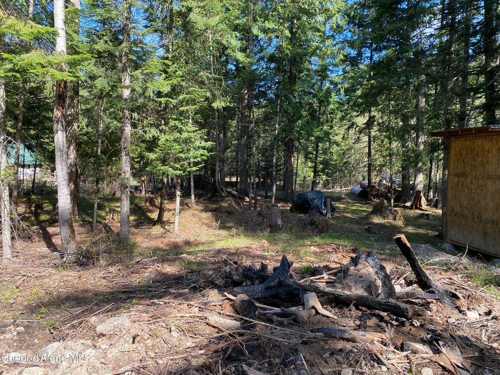 Lots 35 & 36 Dolly Vardon, Bayview, ID 83803 photo 5