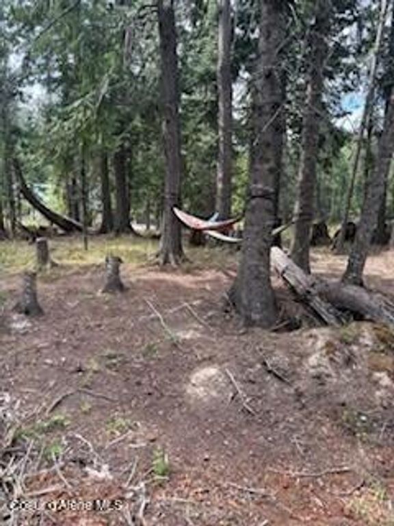 Lots 35 & 36 Dolly Vardon, Bayview, ID 83803 photo 9