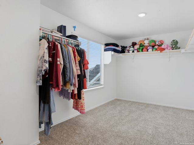 185 Gerasa Dr, Uhland, TX 78640