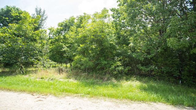 384 Hideaway Drive, Trinity, TX 75862