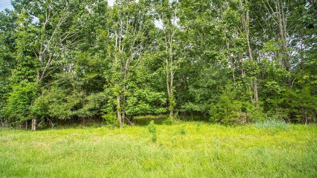 384 Hideaway Drive, Trinity, TX 75862