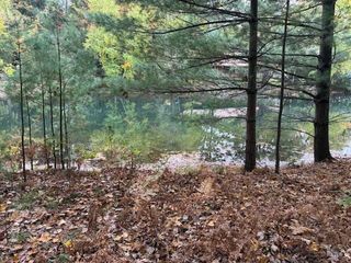 9380 Taylors Turn, Canadian Lakes, MI 49346