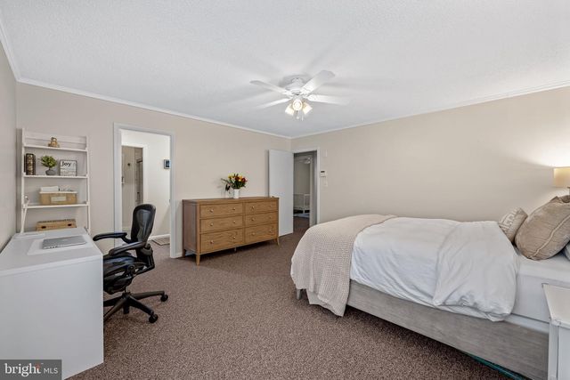 221 DEER FOX LN, Lutherville Timonium, MD 21093