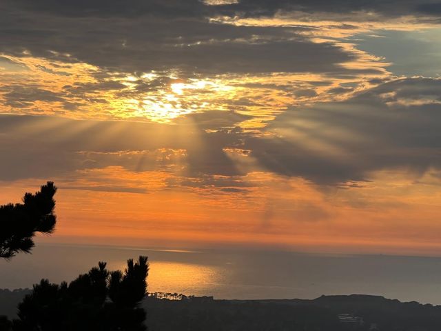 480 Pointe Pacific 1, Daly City, CA 94014