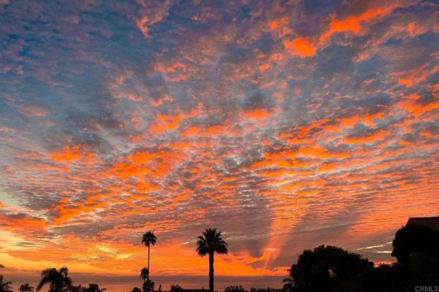 1839 Freda Lane, Cardiff By The Sea, CA 92007