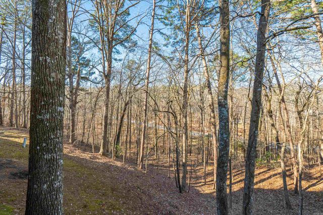 19 Vaqueria Lane, Hot Springs Village, AR 71909