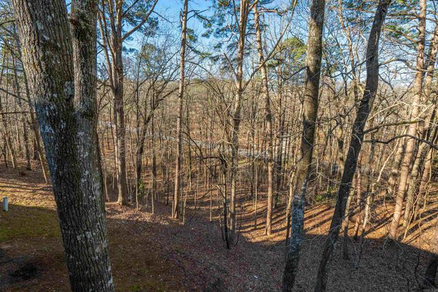 19 Vaqueria Lane, Hot Springs Village, AR 71909