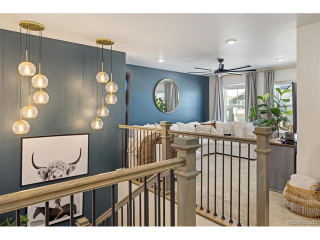 14540 Hudson St, Thornton, CO 80602