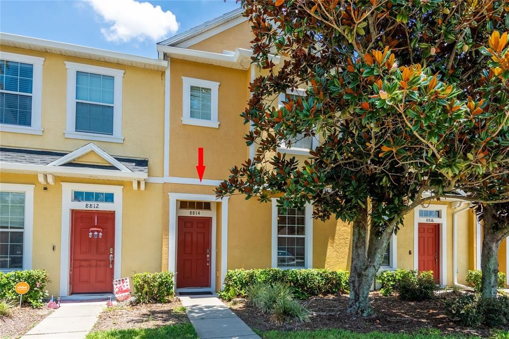 8814 RED BEECHWOOD COURT, Riverview, FL 33578