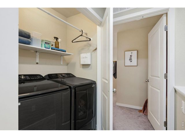 3962 Ginkgo St, Wellington, CO 80549