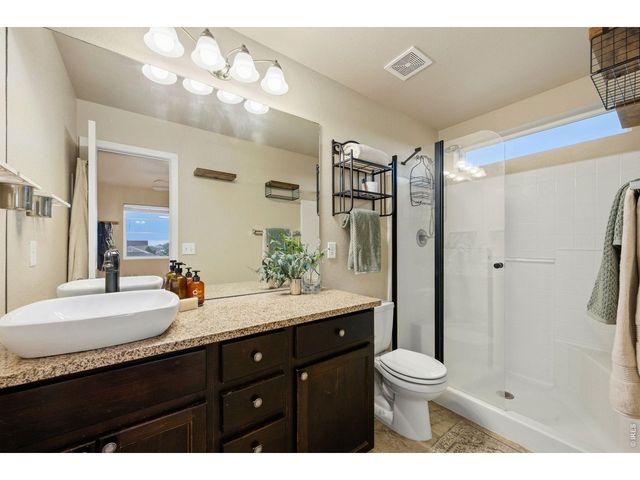 3962 Ginkgo St, Wellington, CO 80549
