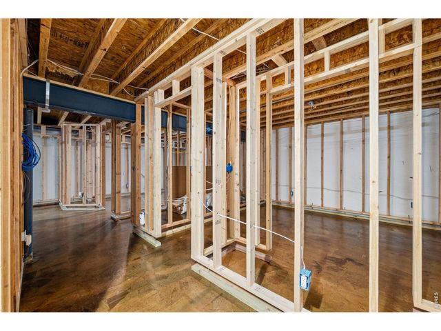 3962 Ginkgo St, Wellington, CO 80549