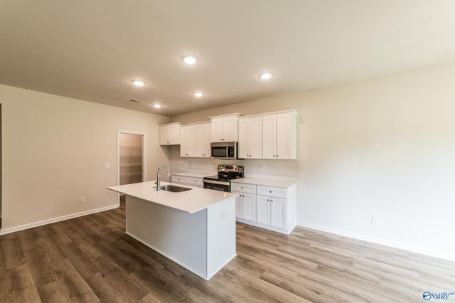 203 Primer Lane, New Market, AL 35761