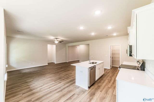 203 Primer Lane, New Market, AL 35761