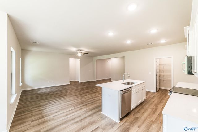203 Primer Lane, New Market, AL 35761