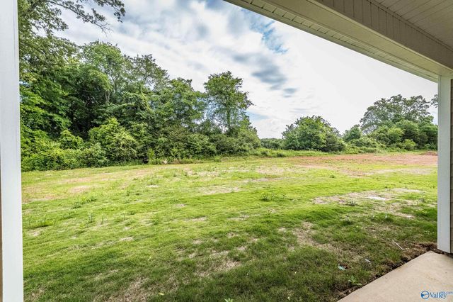 203 Primer Lane, New Market, AL 35761