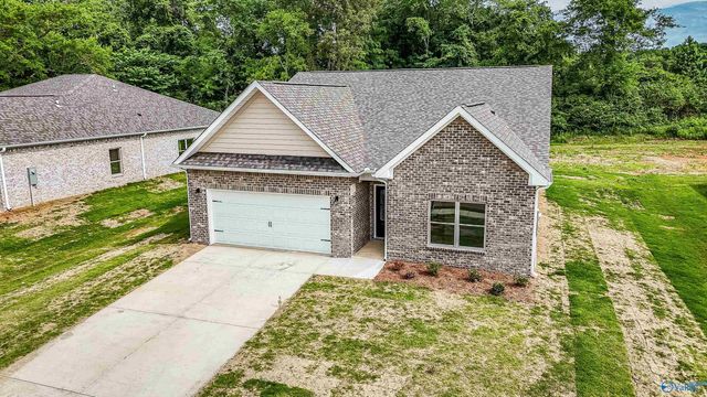 203 Primer Lane, New Market, AL 35761