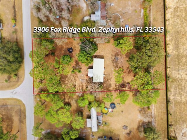 3906 FOX RIDGE BOULEVARD, Wesley Chapel, FL 33543