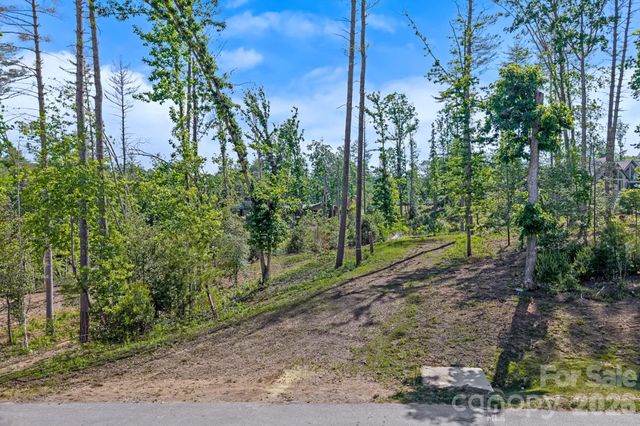 325 Flowering Vine Court, Asheville, NC 28803