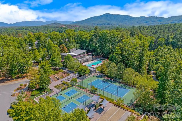 325 Flowering Vine Court, Asheville, NC 28803