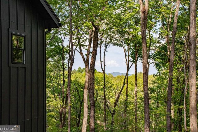 26 Grace Drive, Blue Ridge, GA 30513