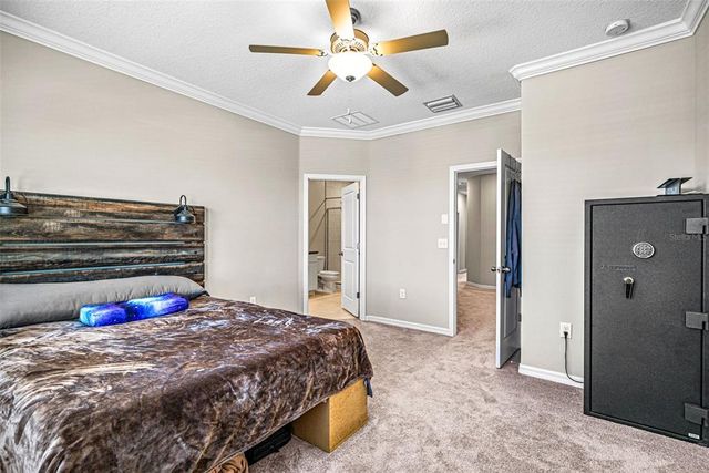 31945 BLUE PASSING LOOP, Wesley Chapel, FL 33545
