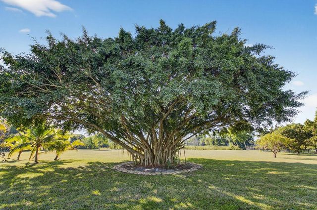 10236 La Reina Road, Delray Beach, FL 33446