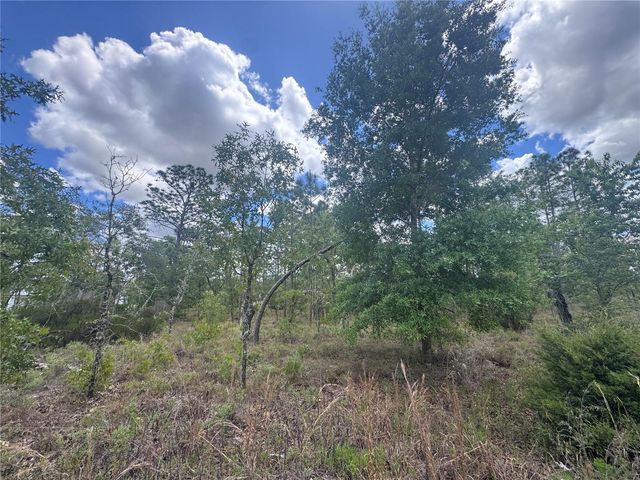 TBD NE 15OTH COURT, Williston, FL 32696
