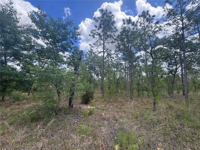 TBD NE 15OTH COURT, Williston, FL 32696