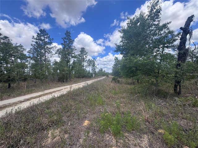 TBD NE 15OTH COURT, Williston, FL 32696