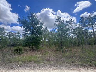 TBD NE 15OTH COURT, Williston, FL 32696